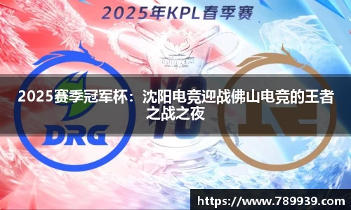 2025赛季冠军杯：沈阳电竞迎战佛山电竞的王者之战之夜